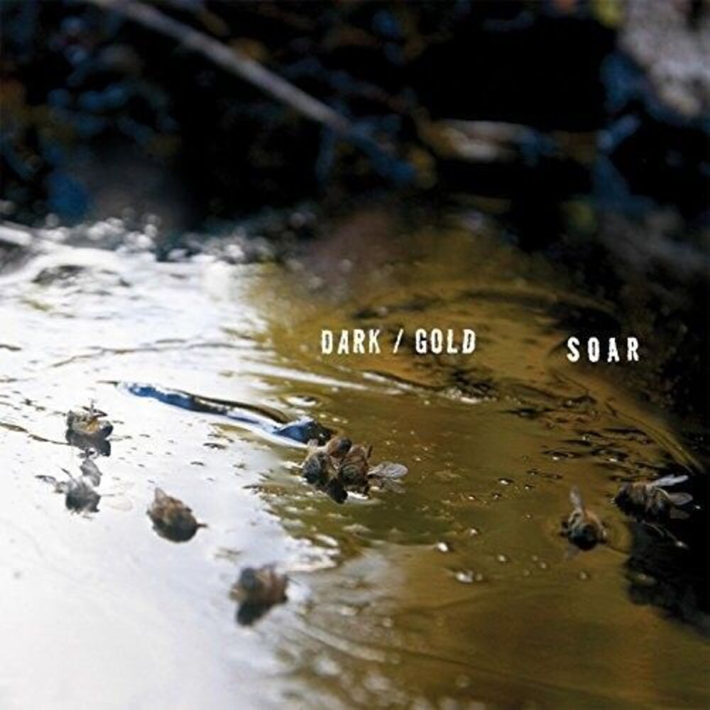 Soar - Dark / Gold  LP LP